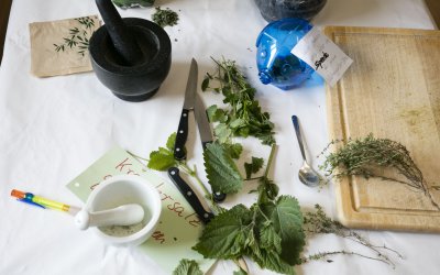 <p>Pflege, Anbau, Verwendung von Kräutern in der Küche und zur Gesunderhaltung... wer kennt schon unsere Schilder in der Kräuterparzelle mit Infos zur Verwendung der Kräuter?</p><br />
