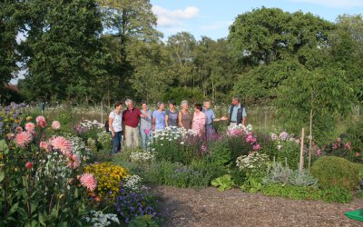 <p>Wir sind eine Gemeinschaft mit geballter Kompetenz, ganz einfach weil jeder Wissen und Erfahrung hat zu den Themen Küche, Garten, Natur, Gesundheit,…</p><br />
