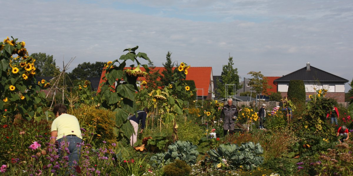 Blick in den Gemüsegarten