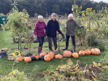 Kürbisernte im Küchengarten