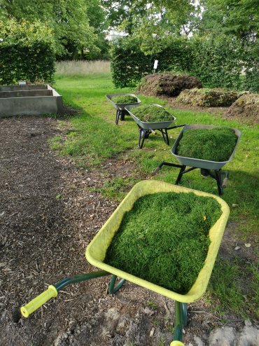 gesammelter gruenschnitt