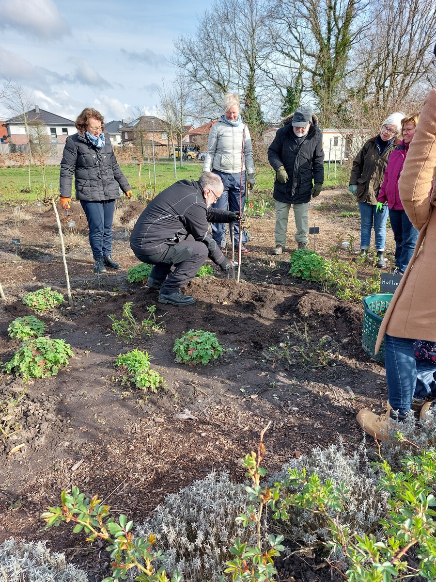 Gemeinsame Arbeit im Gemüsebeet